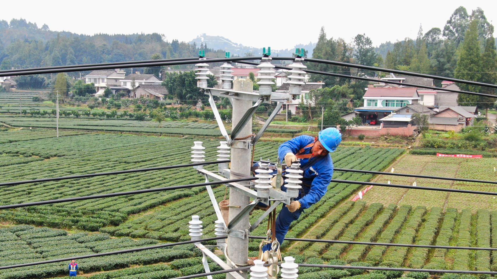四川洪雅新建73基电杆，提升“茶乡”供电可靠性