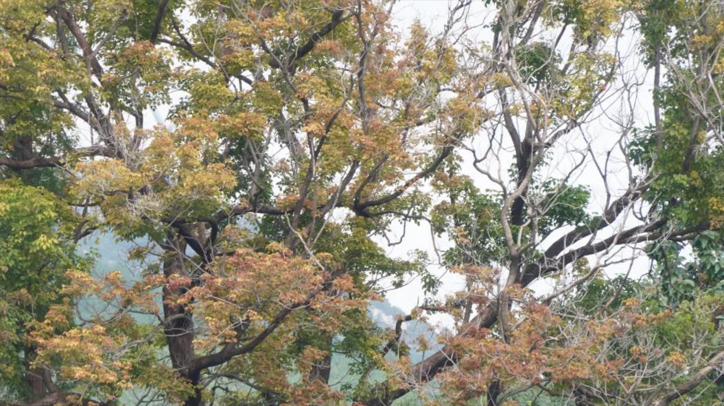 《绿野仙踪》精华十句，讽世奇书，写实鞭辟，雅俗共赏！
