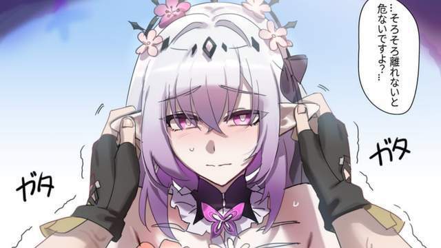 风堇角色强度排名 治疗 增伤 副 C 三位一体 生命体系全面崛起