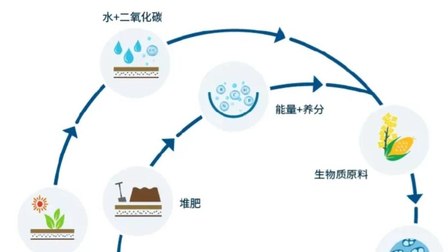 固定式溴素检测仪报警器模组医药农药中间体合成中应用方案