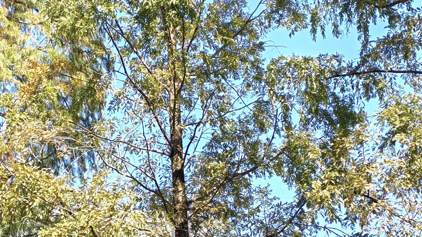 人在职场，碎银几两