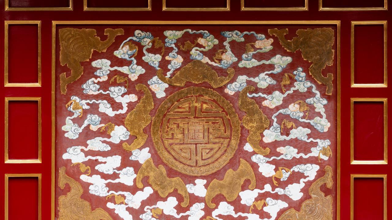 与一只蝙蝠同居一室，是怎样的体验？
