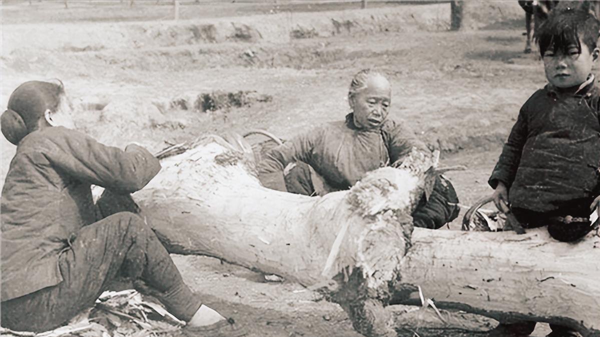 古代闹饥荒时，河里鱼虾丰富，为何百姓宁愿啃树皮，也不抓鱼吃？