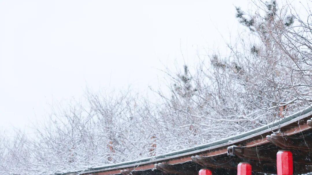 胶州初雪如约，一键开启冬季限定皮肤