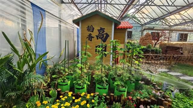 三水南山从网红到常红的流量秘籍，新项目轮番登场让热度保持100度