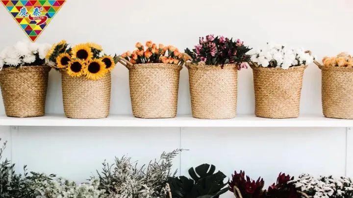 烟花故事会 | 庆泰花炮第一系列: 共鸣