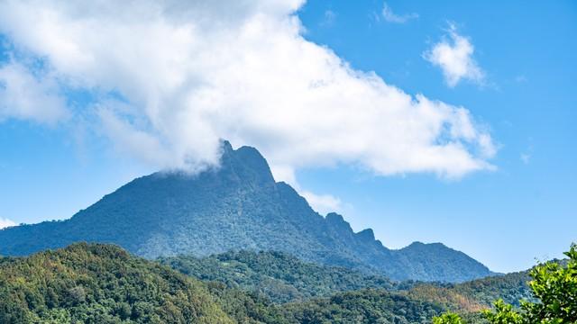 想要去旅行|五指山：海南的绿宝石，度假与追梦的天堂