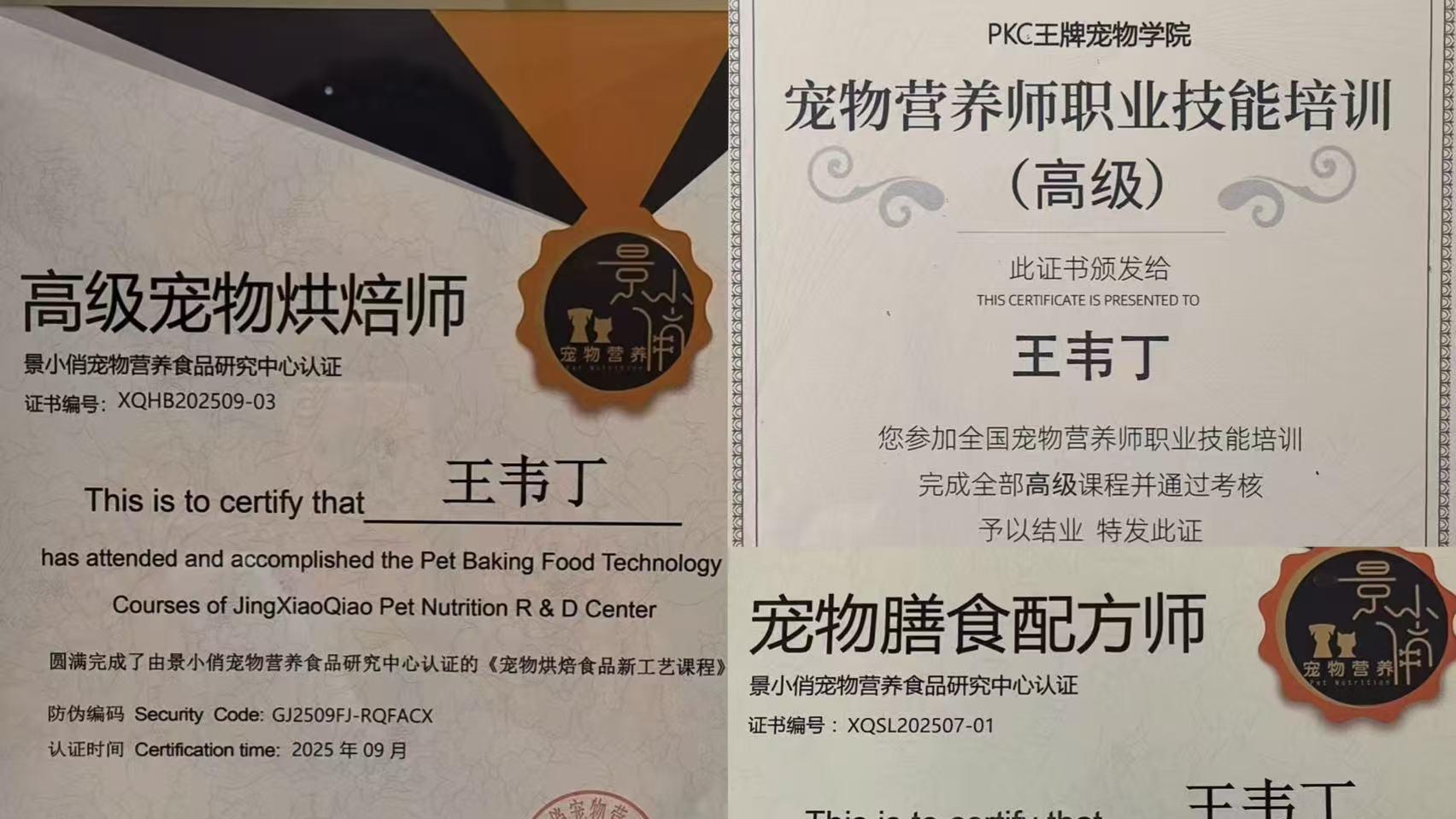 烟台这家宠物店凭什么火爆？看完他们的认证资质就懂了