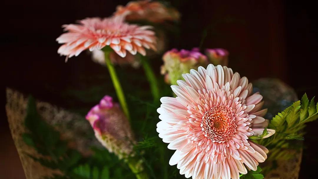 到了中年才明白，老公爱不爱你，主要取决于两件事