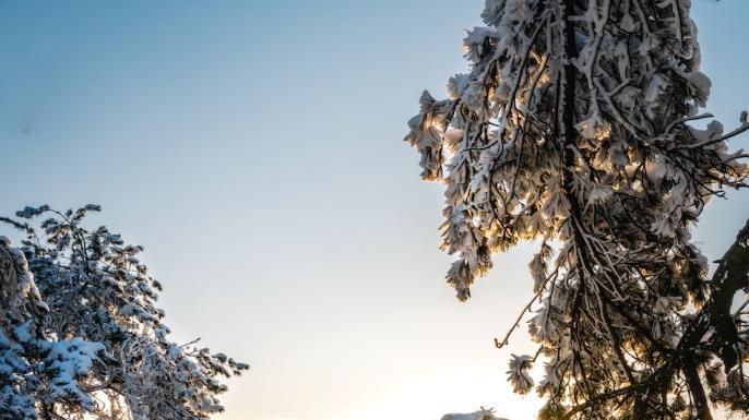 接下来的光雾山，四川人必游！耍雪、赏雪，一次性拿捏多重快乐～