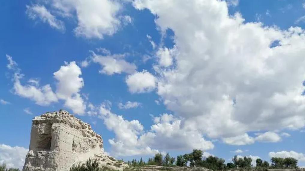 1985年殷玉珍嫁到沙漠睡地窖，大哭七天不甘认命，15年后享誉世界