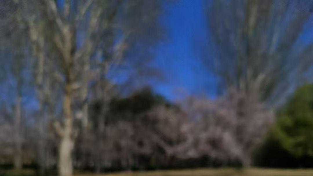 你为什么来这里