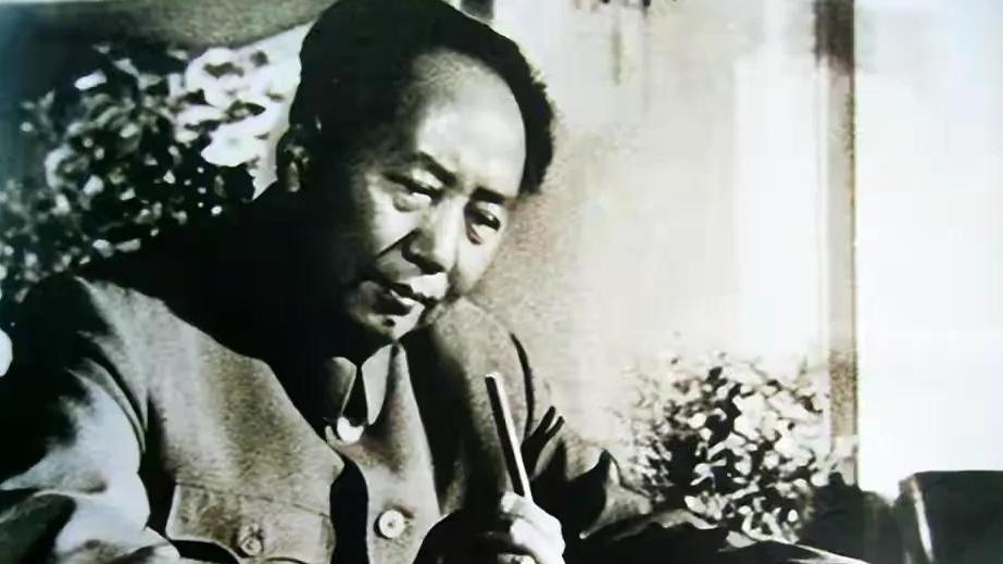 1950年毛主席视察东北地区工作，勃然大怒，随即十多万人落马