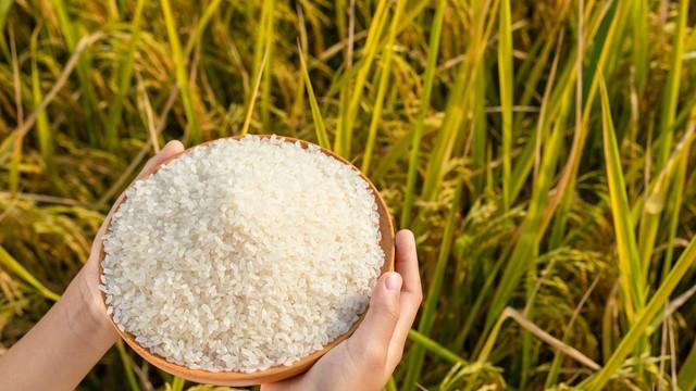 全国哪里大米最好吃？四大顶级大米揭晓，你的家乡上榜了吗？