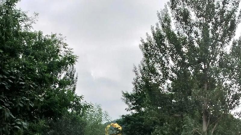 “城市绿心的森林呼吸”｜山西忻州凤凰山旅游攻略：在万亩林海与氤氲温泉间，重获身心的秩序