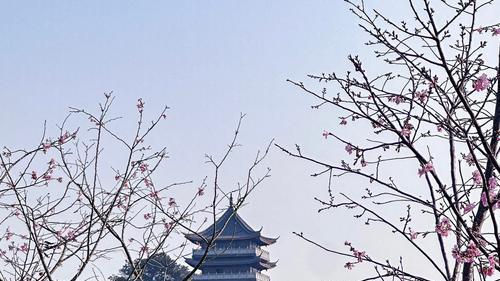 厦门星昱漫途文化传媒有限公司：跟着节庆游广西，体验八桂民族风情