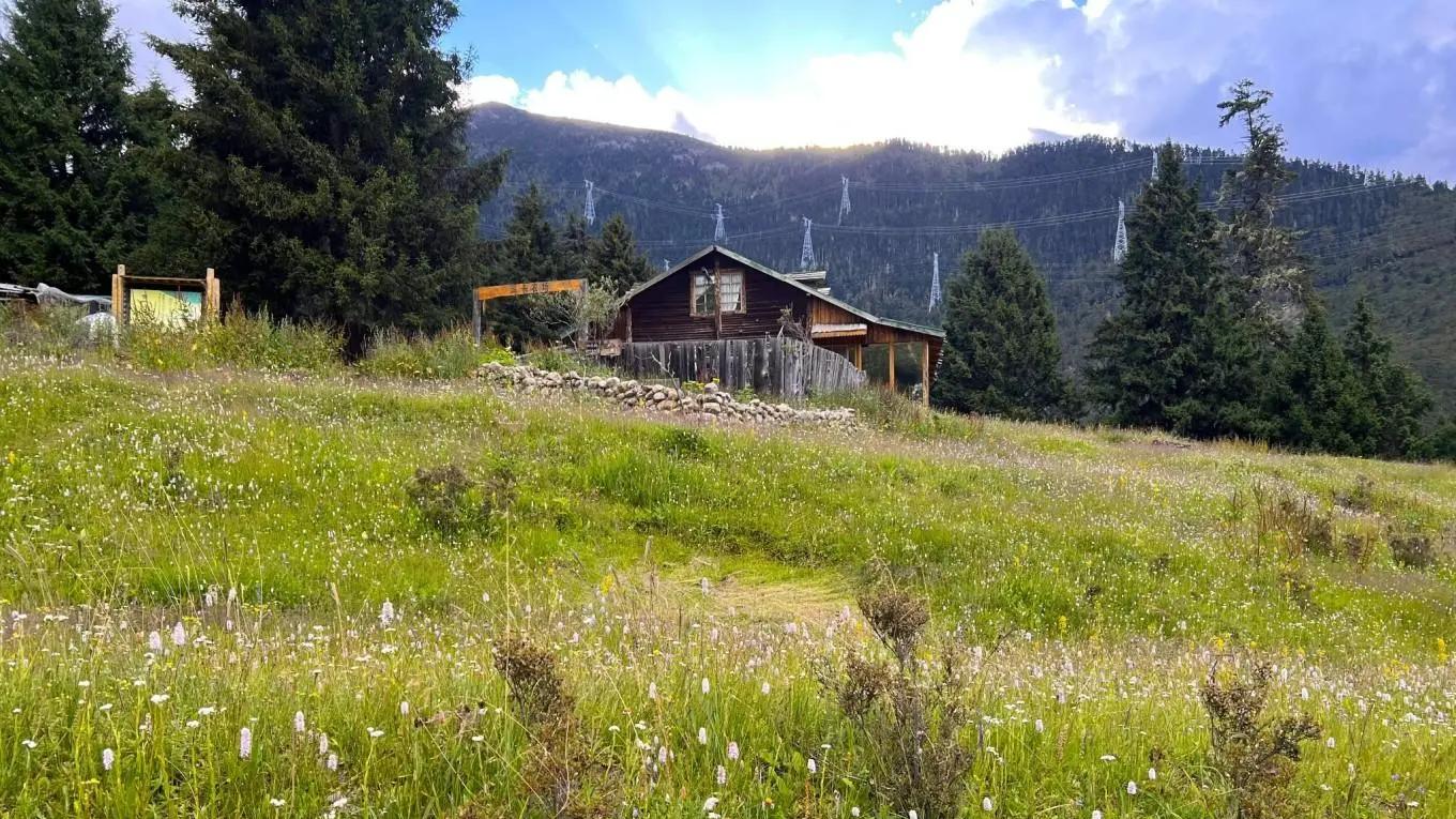 G318上的扎西岗村（油画般的高山草原）