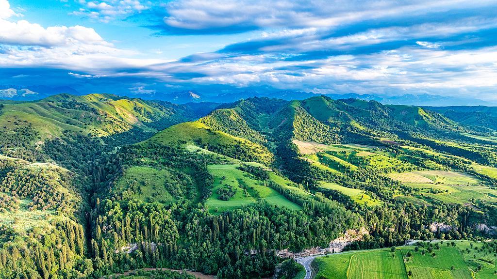 人一旦变得通透，就冷淡了