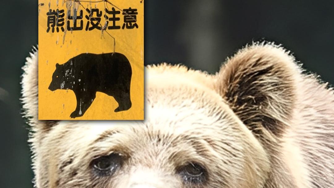 80岁猎人血战野熊，日本“人熊战争”爆发