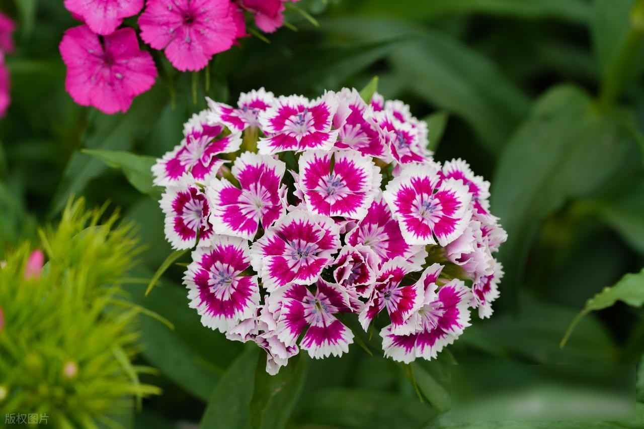 被欺负没人帮，强者说了算，你该怎么办？