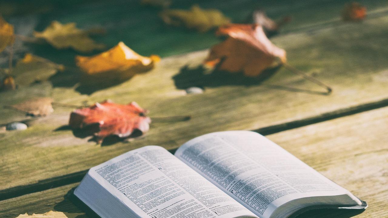 日本留学必知：合适的选择要远远大于努力！（上）