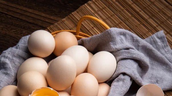 春日野菜登场，鸡蛋成为主角？