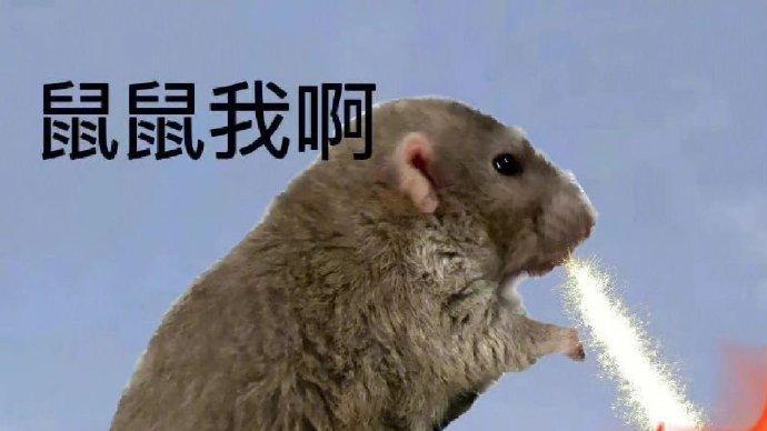 鼠患肆虐时三国名将如何保粮？三谋新赛季再现古人智慧