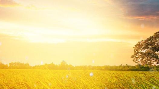 摆脱内耗最好的方式：读书、运动、走出去