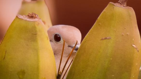 如何向老板/伴侣/父母开口，谈一件你藏了很久的事？