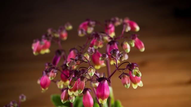 人生就像一场旅行，不在乎目的地，在乎的是沿途的风景和心情！