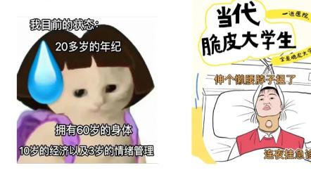 梗指南解析第一期