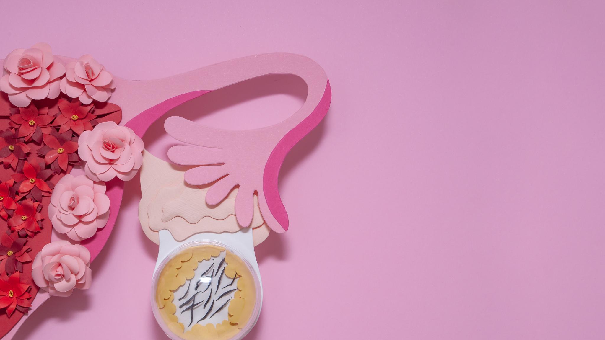 体检上写卵巢囊肿，别慌！90%都是良性的，4种情况，需就医筛查