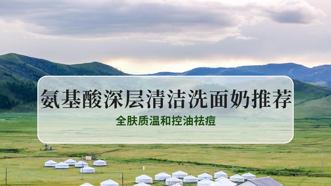 2025氨基酸深层清洁洗面奶深度实测TOP10：全肤质温和控油祛痘