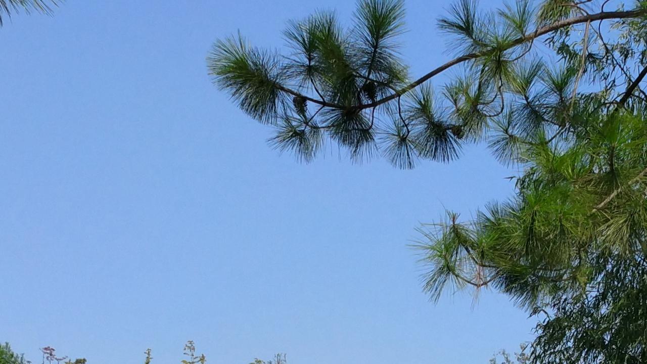 人必自爱而后人爱之，自己才是最爱自己的人！