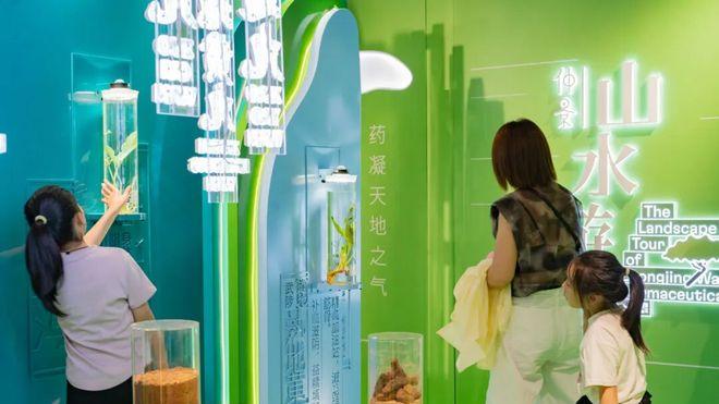 感受中医药文化，郑州东站仲景宛西制药展厅打卡山水“药”园