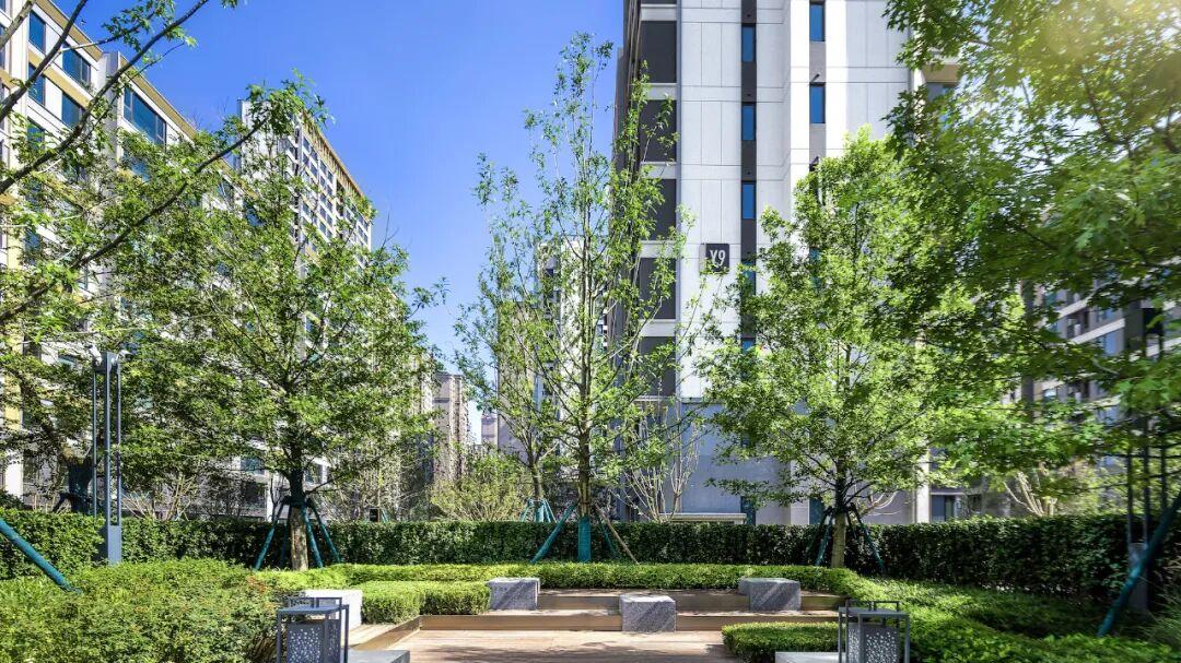 一眼难忘！合肥这个盘以高品质交付惊艳市场，实景超越期待！