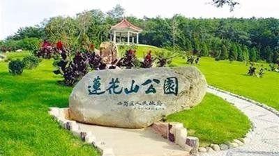 征婚墙，莲花山的别样风景 | 姚景强