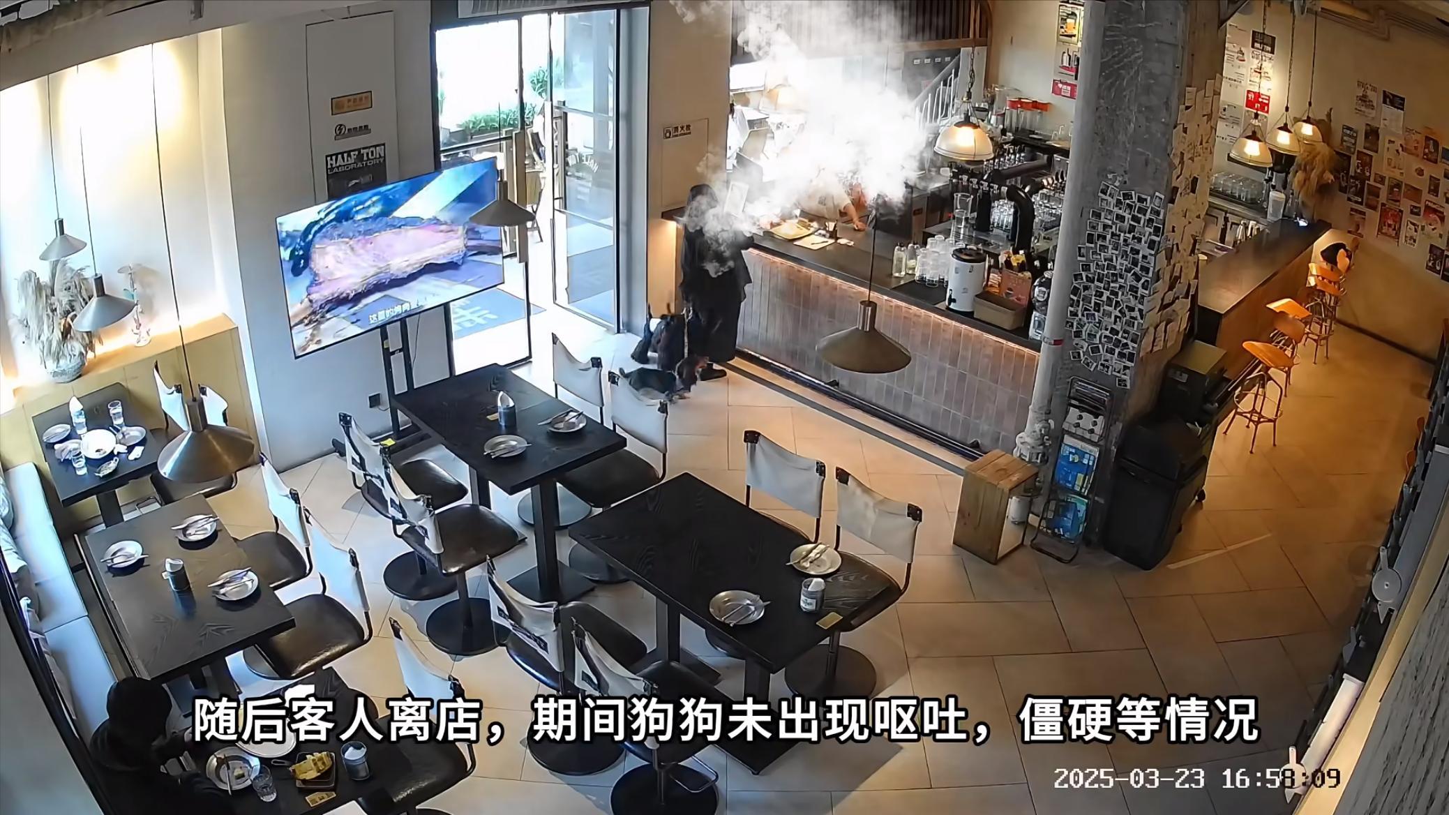 女子带四条狗去餐厅，店员被咬反被她要求道歉，事后诬陷网暴商家