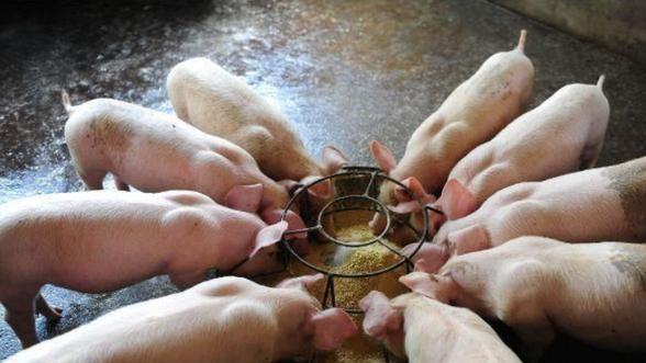 回族人不吃猪肉，满族人不吃狗肉，那古代汉族人不吃啥肉？