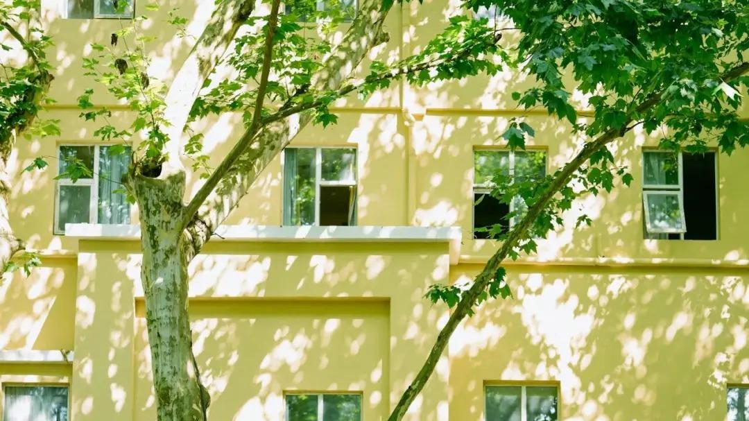 夏日临近，分享一下你的避暑 “妙” 招呗