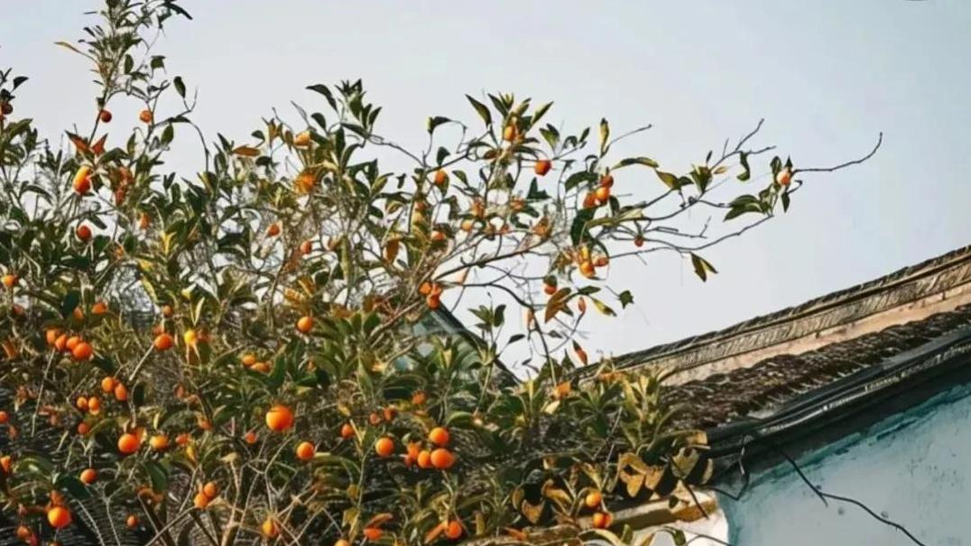 两次高考失利后，我拒绝相亲，直到一天街上被一女孩拦住……