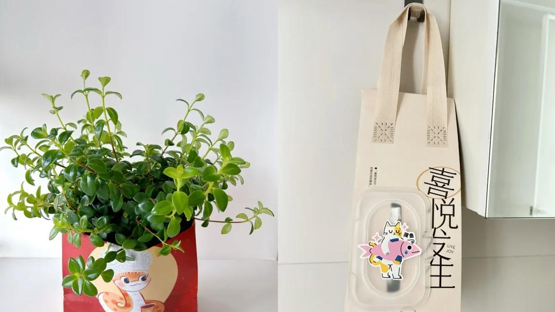 7个“废物”重新变新欢，换个思路，竟然变成生活神器