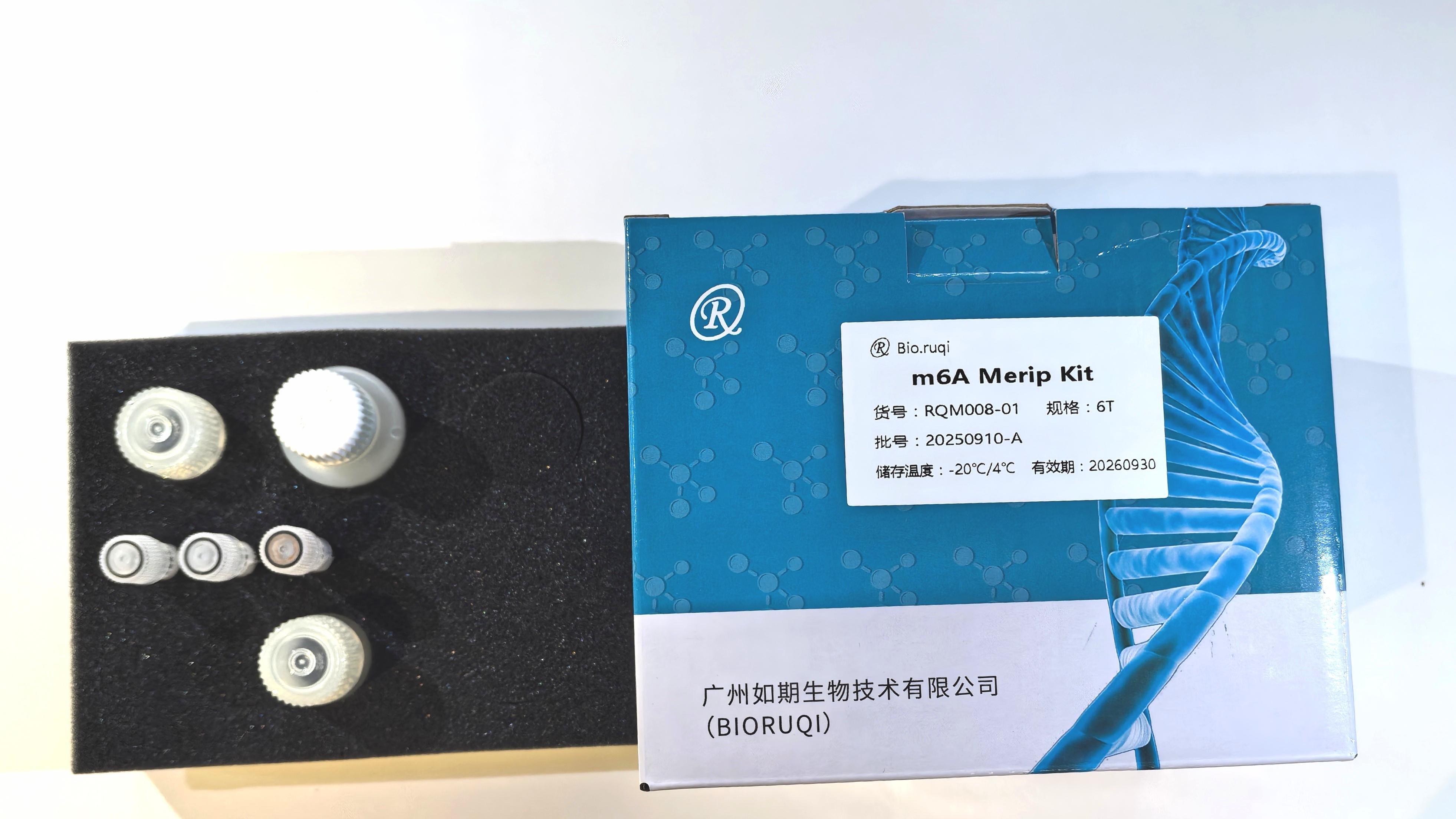 m6A RNA甲基化免疫共沉淀实验介绍（MeRIP）