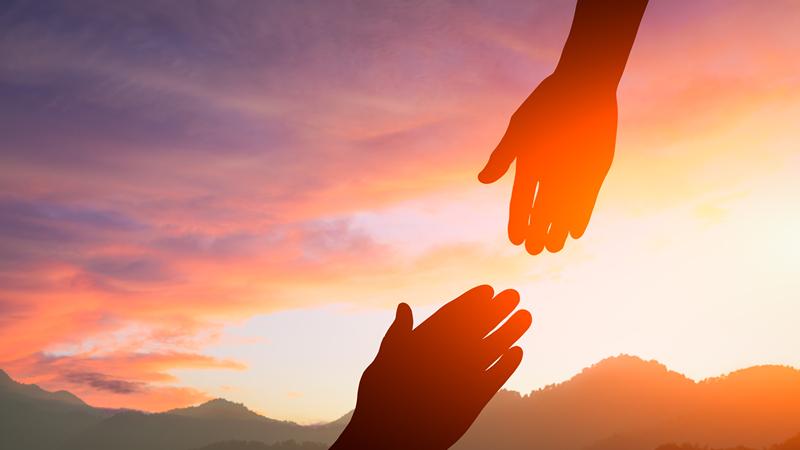 你有饺子导演一样的支持系统吗？