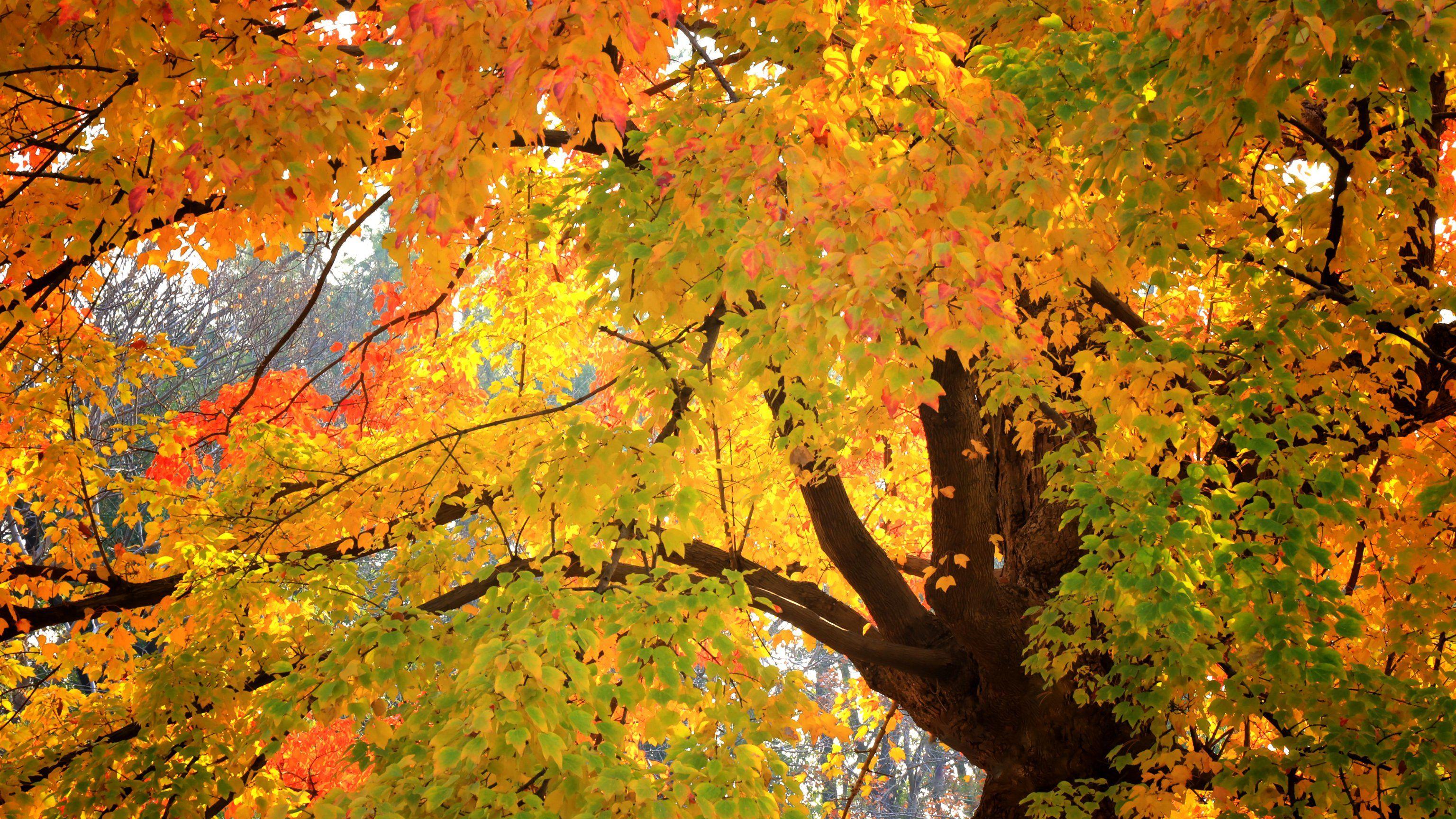 情感故事丨被退婚后，我成了全县城的笑话，得知我家拆迁得6套房，前任竟主动做上门女婿