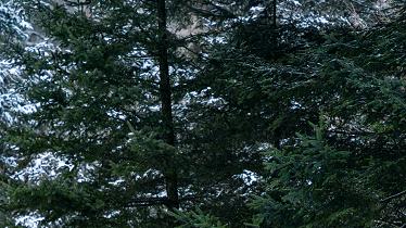 拒绝平庸！昊铂GT Lite版：焕新你的出行