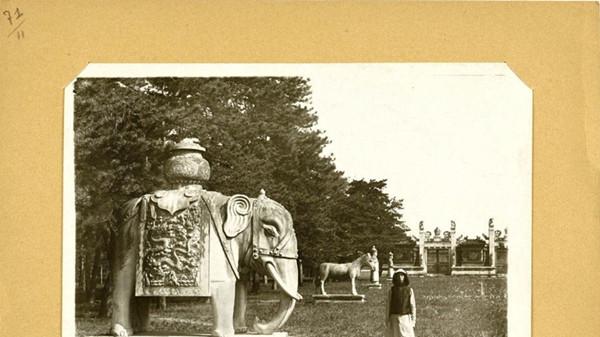 100 年前清西陵老照片：石象、武将与古桥，藏着百年前的皇家气场