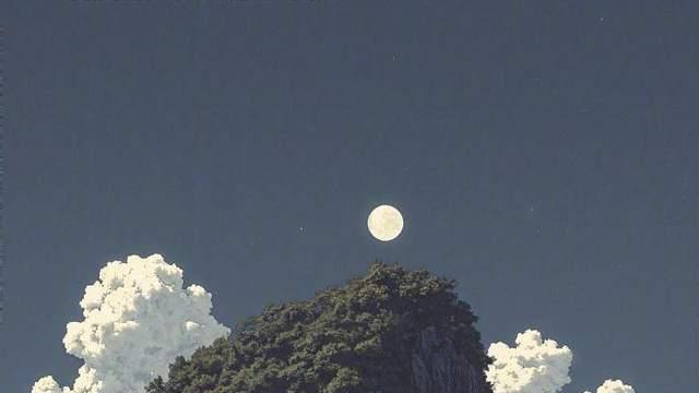 王小波语录丨人生是一条寂寞的路