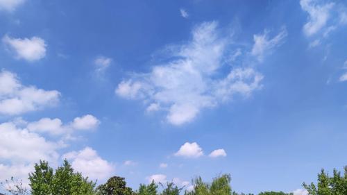 国内高校分享第29期：华东师范大学-教育+AI=未来？这所大学已抢先布局