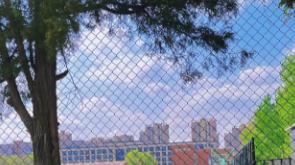 到底要不要交养老保险金